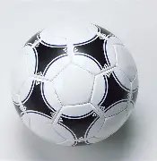 探索早期见,k1体育,k1体育平台,k1体育平台,k1体育官方网站,k1体育登录入口,k1体育app下载