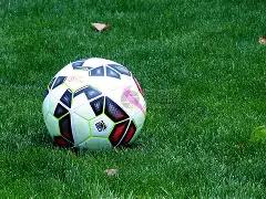 新西兰与香,港货币对比,k1体育,k1体育平台,k1体育官方网站,k1体育登录入口,k1体育app下载