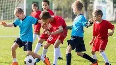 k1体育 产品 085441 tfy