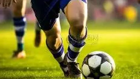 k1体育 产品 085443 r0j