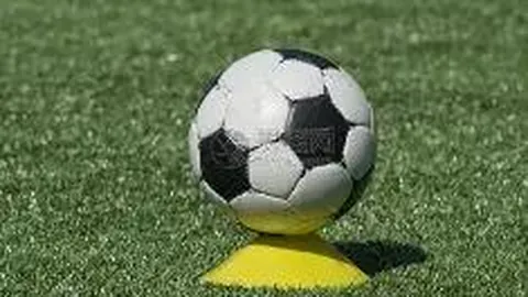 k1体育 产品 085519 2ef